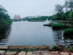 -前关湿地公园