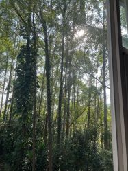 -爱丽馨御景月子中心