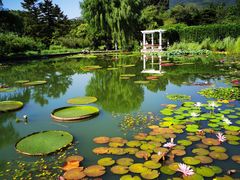 -国家植物园南园