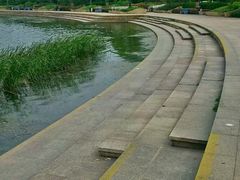 -新江湾城公园