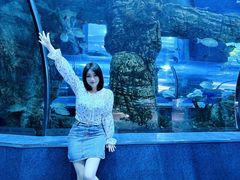 -乐从天佑城海洋馆