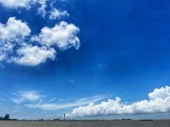 -上海滨江森林公园