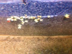 -天目湖御水温泉·度假酒店