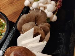 -九鼎轩脆毛肚火锅(三钢里店)