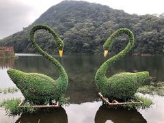 -广州市石门国家森林公园