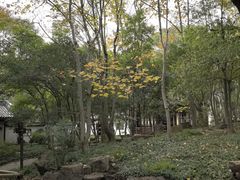 -汇龙潭