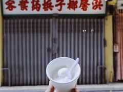 -洪馨椰子