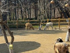 -茅山东方盐湖城景区