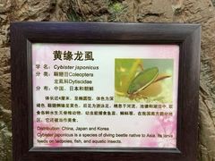 -上海大自然野生昆虫馆(东方明珠·爬宠昆虫探索中心)