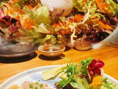 -Hatsune隐泉日式料理(三里屯太古里店)