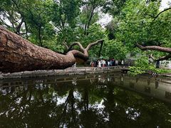 -西园戒幢律寺