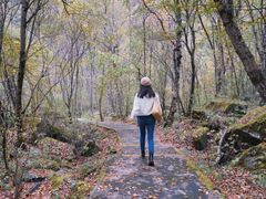 -叠溪松坪沟景区