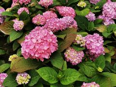 -苏州河梦清园环保主题公园