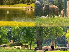 -北京野生动物园