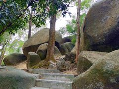 -火炉山森林公园