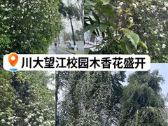 -四川大学(望江校区)