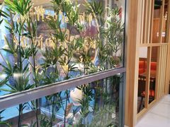 -苗小坛酸汤鱼(酒仙桥店)