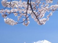 -茉沏(石路天虹店)