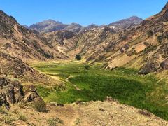 -新疆天山野生动物园