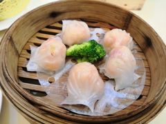 嘉华虾饺皇-美食汇·海鲜自助西餐厅·江门富力万达嘉华酒店