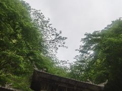 -藏山旅游风景区