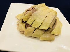 -老吉士酒家(天平路店)