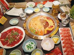 -熊喵来了火锅(四平万达第56分店)