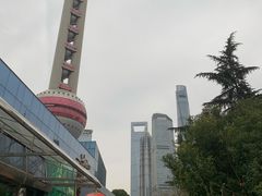 -上海大自然野生昆虫馆(东方明珠·爬宠昆虫探索中心)