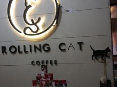 -滚猫咖啡·猫咖·猫友好撸猫(未来城店)