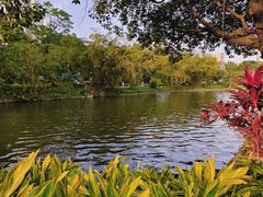 -晓港公园