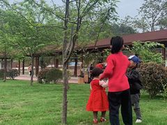 -绵阳盛世樱花悠乐谷