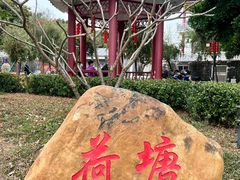 -长洲岛