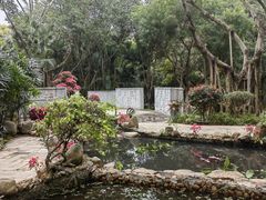 -深圳国际园林花卉博览园