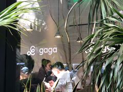 -gaga(深圳南山益田假日广场店)