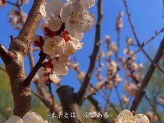 -南长河公园