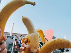 -南京奥林匹克体育中心-体育馆