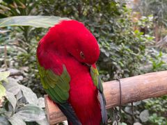 -南宫五洲植物乐园