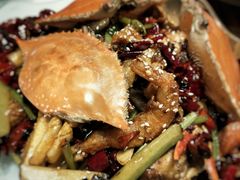 -胡桃里音乐酒馆(石家庄店)