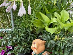-萤火虫咖啡(后海店)
