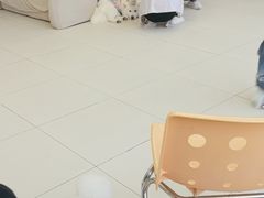 -怪兽屋·羊驼·猫咖·狗咖(俊华广场店)