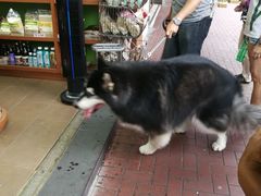 -利强记北角鸡蛋仔(弥敦道店 )