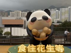 -新城市广场