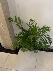 -香秀空间科技抗衰·美容中心
