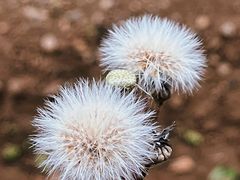 -丽江泸沽湖景区