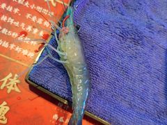 -钳真多钓虾馆·小龙虾海鲜烧烤(九六广场店)