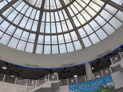 -澳门外港客运码头(轮渡站)