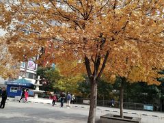 -同至人购物中心(朝阳街店)