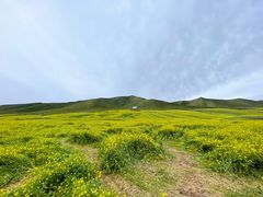 -扁都口生态休闲旅游区