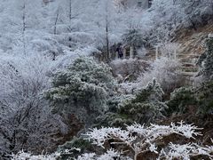 -崂山巨峰游览区