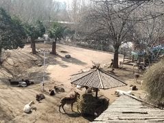 -郑州市动物园